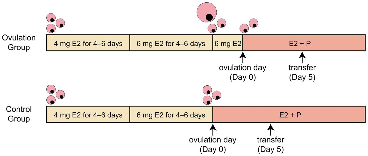 A picture containing text, screenshot, fontDescription automatically generated