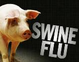 9e3h1n1