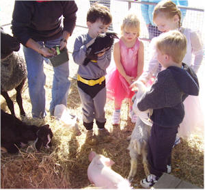 animal3