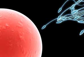 dnews-files-2013-04-us-largest-exporter-sperm-660-jpg