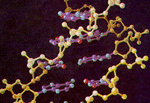 gene_1