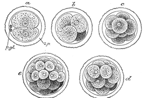 images3