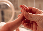 images_136