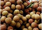 images_25