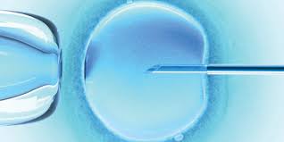 ivf