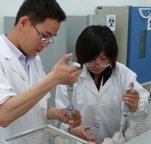 lab
