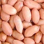 peanut_kernels