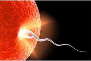 tinh_trung_va_trung_2