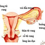 ungthucotc