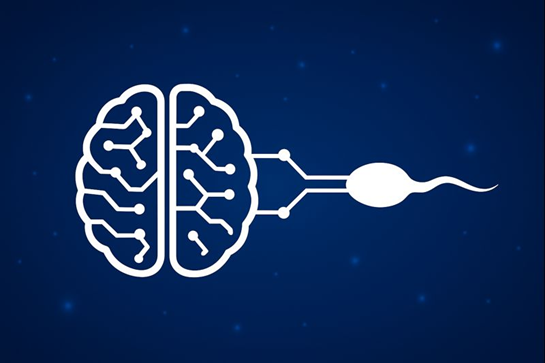 Tiềm năng ứng dụng AI trong việc phát hiện tinh trùng trong mẫu phẫu thuật