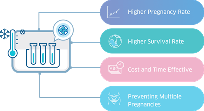 Tổng quan và triển vọng của quy trình thủy tinh hóa và rã đông cực nhanh noãn và phôi người