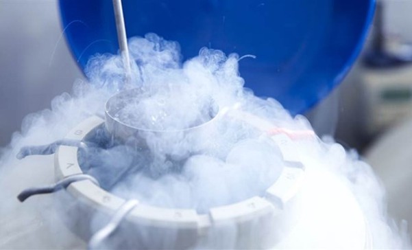 “Universal warming” - xu hướng trong thực hành hỗ trợ sinh sản