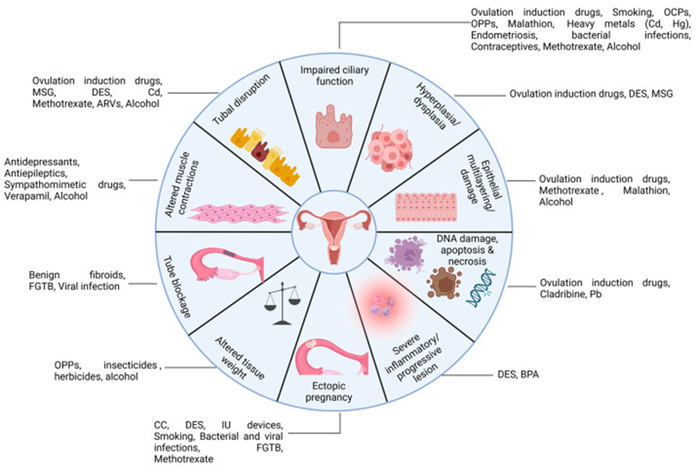 Các yếu tố ảnh hưởng đến chức năng ống dẫn trứng
