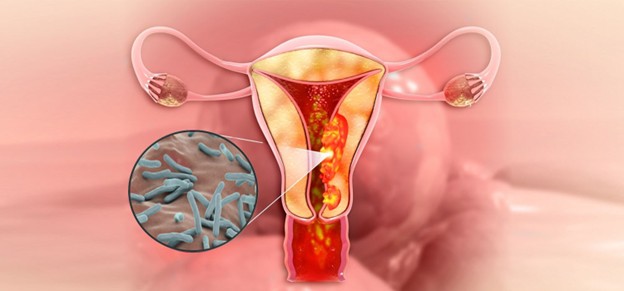 Nhiễm virus - tác động đến khả năng sinh sản, thụ tinh trong ống nghiệm và giai đoạn đầu của thai kỳ