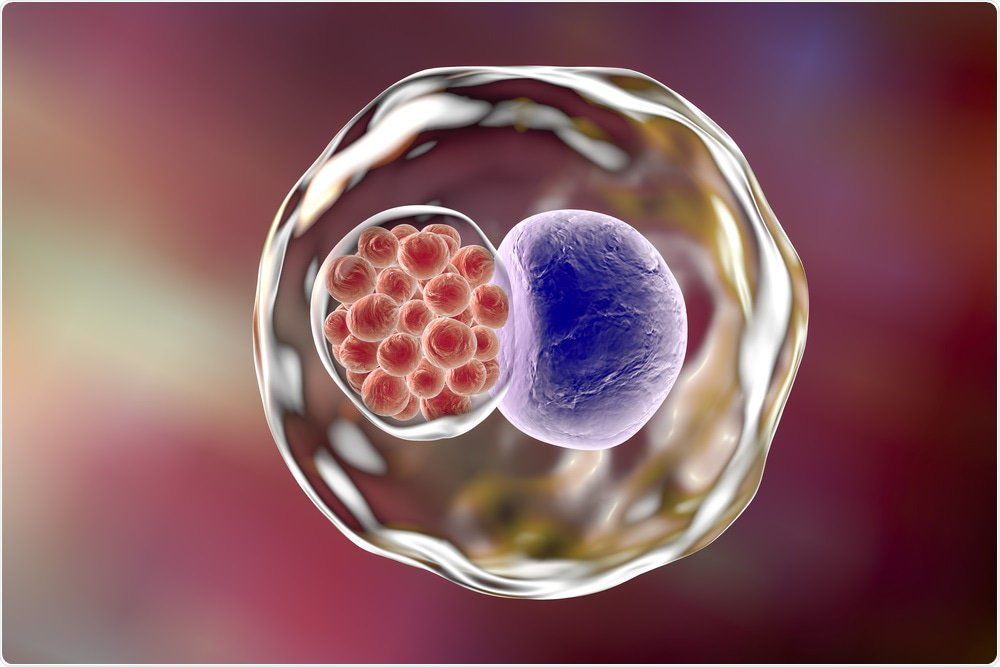 Mối liên quan giữa Chlamydia trachomatis và sức khỏe sinh sản nữ
